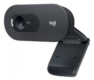 Webcam Logitech C505 960-001363 960-001363