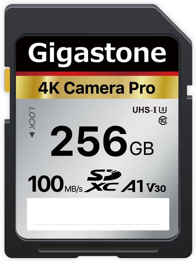 Gigastone 256GB Tarjeta SD, 1 minicaja, V30 SDXC Tarjeta de Memoria Alta Velocidad 4K Ultra HD UHD Vídeo Compatible con Canon Nikon Sony Pentax Kodak Olympus Panasonic Cámara Digital