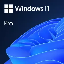 WIN 11 PRO GGK 64BIT SPANISH