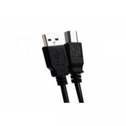 CABLE TRUE BASIX TXC-001 USB A/B 6FT CAUS-012