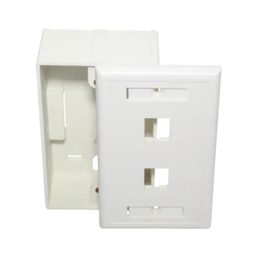 PLACA DE PARED RECTANGULAR DOS PUERTOS RJ45