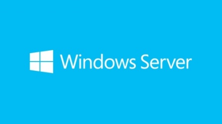 Windows Server Standard 2019, 1 Licencia, 16-Core, 64-bit, DVD