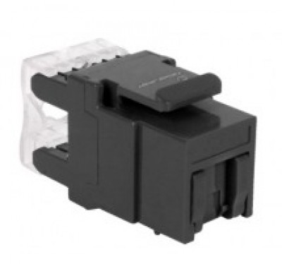 Jack RJ45 CONDUNET - Negro