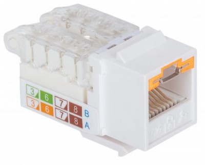 Jack Cat6 con bloqueador INTELLINET 790758 - Color blanco