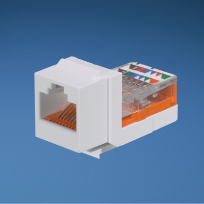 Jack PANDUIT nk5e88mwhy - Color blanco