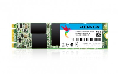 SSD ADATA ASU800NS38-256GT-C - 256 GB, Serial ATA III, 560 MB/s, 520 MB/s, 6 Gbit/s