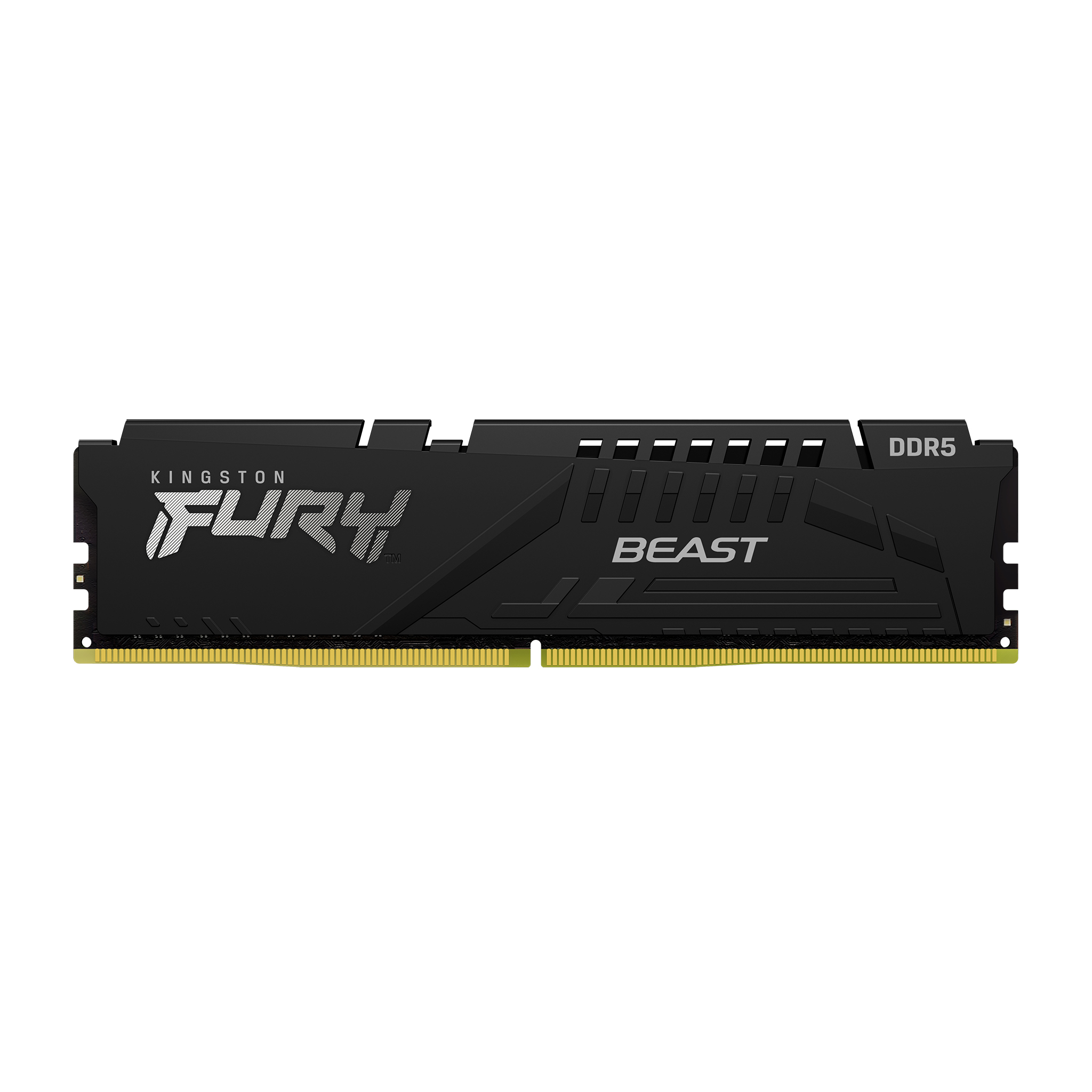 Memoria  Kingston Technology CL40 DIMM FURY Beast - 16 GB, DDR5, 6000MHz, DIMM