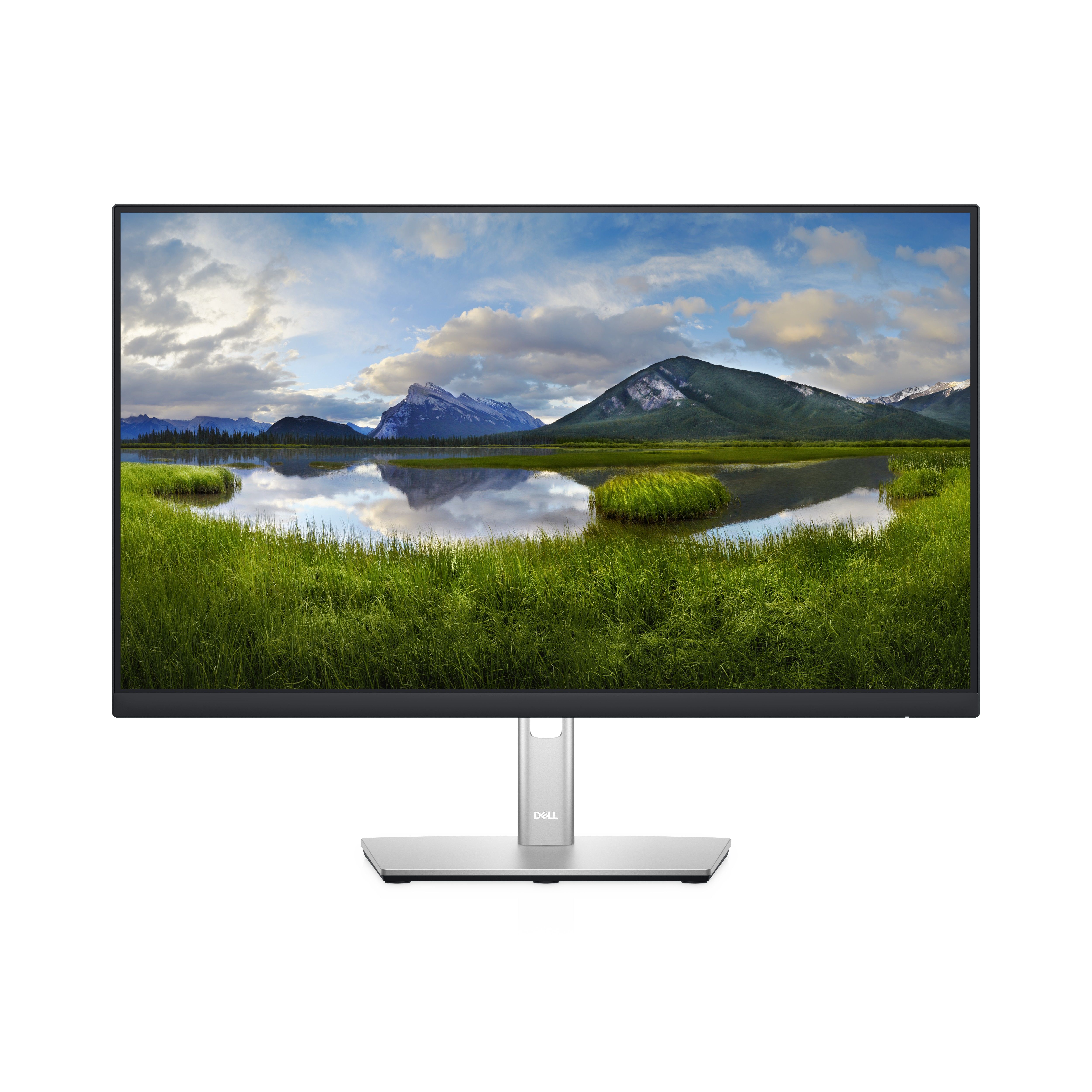 Monitor  DELL P2422H - 24 pulgadas, 1920 x 1080 Pixeles