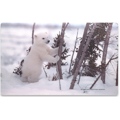 SKIN NOTEBOOK 17 OSO POLAR